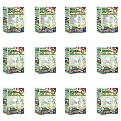 🍋Official Store | 💚 solaroza® Moringa & Berberine 10-IN-1 Advanced Nano Microneedle 1 Patch (Once Daily, visible changes in 7 days) ✅ Obesity, Diabetes, Sleep Apnea, And Joint Issues